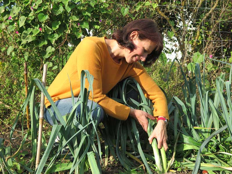 romana-garten